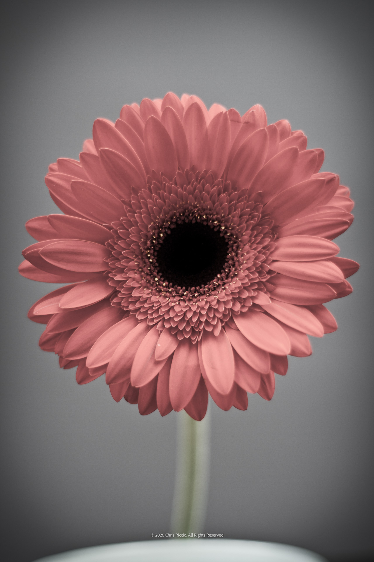 Almost Infrared